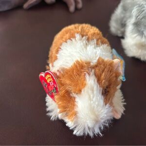 TY beanie baby Brown and White Guinea Pig